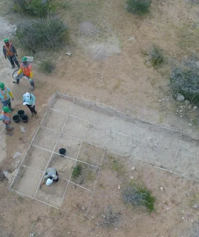 Levantamento topográfico em campo com equipe CRN Veritas